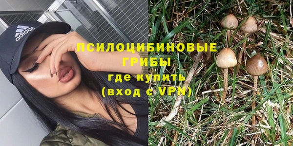 jwh Алзамай