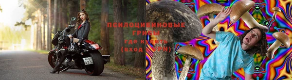 jwh Алзамай